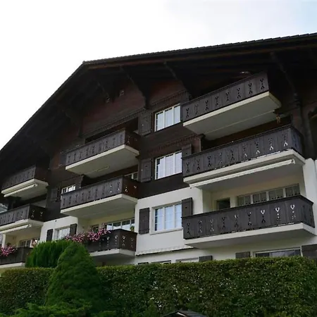 Fink Appartement-fewo- Dusche Oder Bad- Wc 2-bettwohnung By Interhome Цвайзиммен